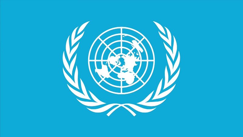 UN new logo, Новый логотип