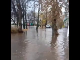 А вот так в подмосковной Коломне затопило десятки домов из-за затянувшегося ливня!