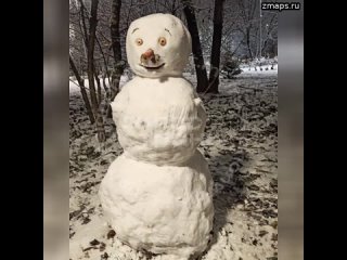 Нашествие снеговиков по всей России — жители из разных регионов делятся своим холодным творчеством в