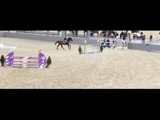 Видео от Sale sport horses Продажа лошадей выездка конкур