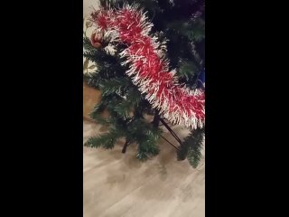 Первая ёлочка Симбы 🎄😼