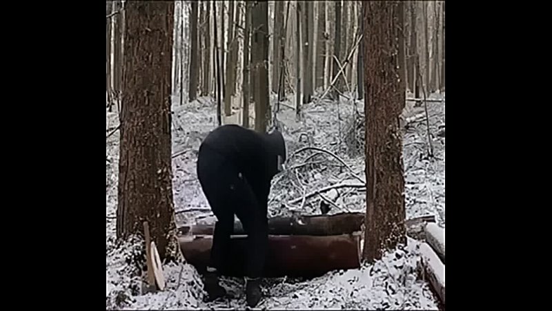 Домик в лесу