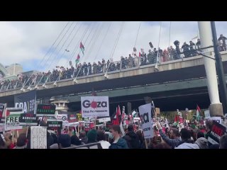 ️В Лондоне, Манчестере, Глазго и других крупных городах началась массовая демонстрация в поддержку Палестины