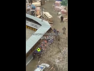 мигрантов уносят на носилках после драки в Свиблово