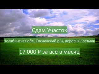 Аренда - земельный участок 20,4 га д.Костыли (Челябинск, Кременкуль)