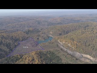 История с уничтожением земель лесного фонда Кузбасса обрастает коррупционными подробностями