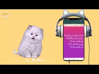 118. Animation Cute Cat Recite Juz Amma Az - Zalzalah