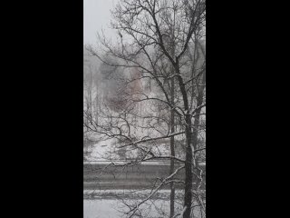 Лютый снегопад накрыл город: показываем, во что превратился Петербург