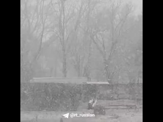 Погода в Крыму «взяла пример» с Сочи: в республике валит снег