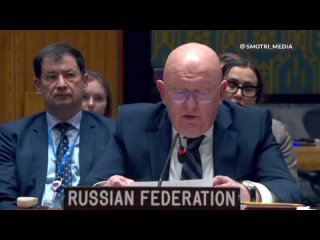 Representante Permanente de la Federacin Rusa ante la ONU Nebenzya: