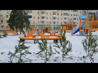 Десятки маленьких зеленых красавиц появились в районе остановки Буревестник в Луганске