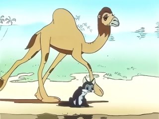 Шакалёнок и верблюд. 1956  Союзмультфильм