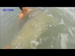 Флоридец случайно поймал акулу, но потом храбро освободил ее и отправил обратно в океан