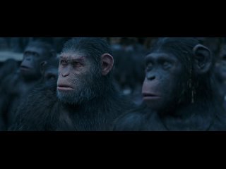 Планета обезьян: Война / War for the Planet of the Apes (Фильм 2017)
