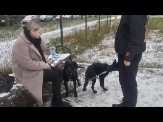 Дуэт “ Барьер  🚧“  Сёма Питерский & Зяма Шушарский

Жил Был Пёс 🐕 Жил был Кинолог 🐕 Моя Жизнь Кино 🎬 Музей Псов