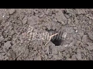 ⚡️Женщину ранило в результате обстрела ВСУ в Старомихайловке — боевики сбросили на нее снаряд с беспилотника