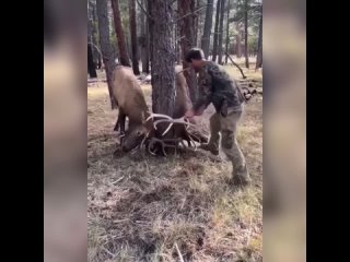 Хорошо, что им помогли, а то могло бы плохо закончиться