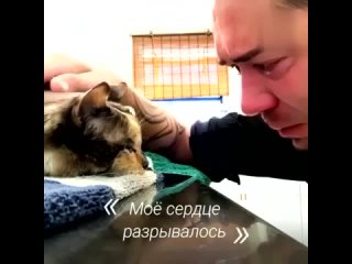 На днях умерла собачулька, прожила 16лет,ревем до сих пор! Ох, как тяжело расставаться с преданными друзьями.