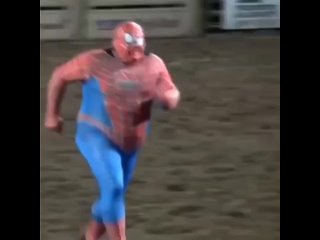 Человек-паук