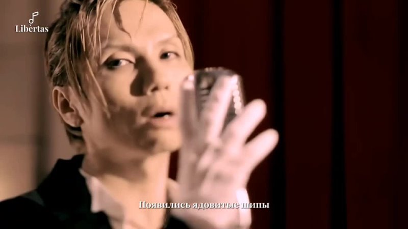 Acid Black Cherry - 蝶 