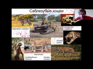 Полимат-лекториум_ «_Чудища Эдема__ кто повлиял на эво...