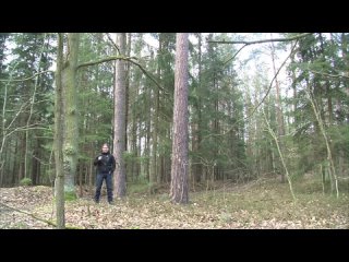 Tajemno a záhady (Tajemná místa) - Branišovský les - Nějděsivější les v ČR