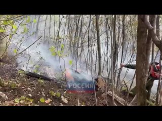 Лесной пожар бушует уже на площади 5,5 га в Апшеронском районе