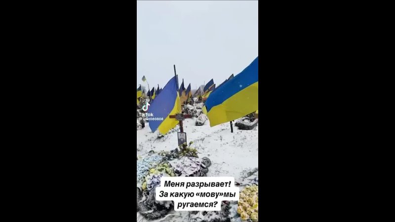 Украинка в шоке от размеров одного из военных кладбищ