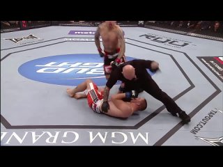 Dan Hardy vs. Duane Ludwig UFC 146 - 26 мая 2012