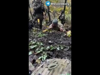 Видео от РОССИЯ НАВСЕГДА