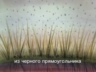 ъэхо двора — Комар (видеоряд из мультфильма СССР)