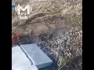 Несовершеннолетний вандал разгромил кладбище в Отрадненском районе на Рождество