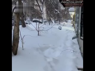 В Екатеринбурге ебанат выбросил годовалую дочь из окна, тело девочки пролежало в сугробе несколько д