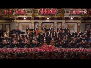 Новогодний концерт Венского филармонического оркестра 2024