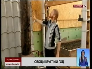 Солнечный био-вегетарий построил житель Петропавловска.