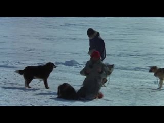 Антарктическая повесть (Япония1983)драма, приключения