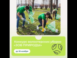 Жители региона могут стать участниками всероссийского конкурса волонтерских уборок Зов природы