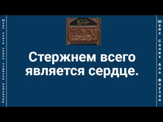 Стержнем всего является сердце.