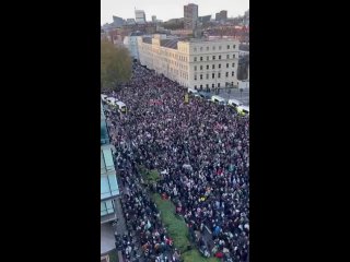 Столкновения произраильских митингующих с полицией в Англии

В Лондоне прошла, возможно, крупнейшая за все время войны демонстра