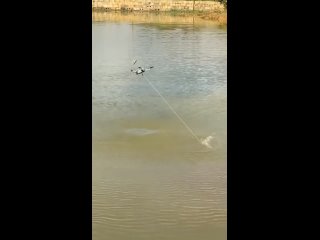 Судя по видео, беспилотник в схватке проиграл😀 - Александр Кустышев