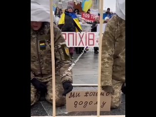 Масштабный флешмоб прошел в Киеве.