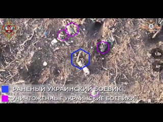 📹58 обСпН уничтожает украинских боевиков сбрасывая боеприпасы с беспилотников

Разведчики 58 обСпН 1 Донецкого армейского корпус