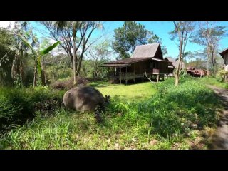 [Сава с Бали SavasBali] БАЛИ | Достопримечательности | Taman Nusa | Дома со всей Индонезии
