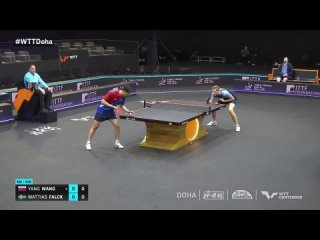 Yang Wang vs Mattias Falck | WTT Contender Doha 2024 | R16