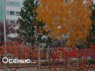 Video từ Перинатальный центр № 2, Волгоград