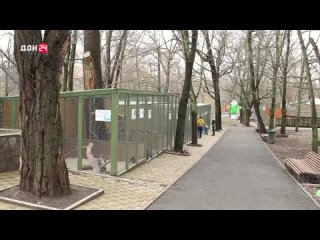 Как зимует Ростовский зоопарк