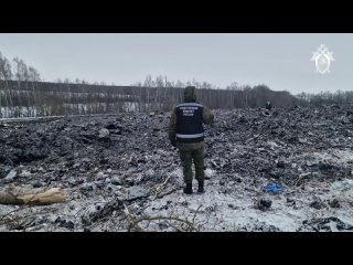 По факту крушения самолета Ил-76 в Белгородской области расследуется уголовное дело о теракте