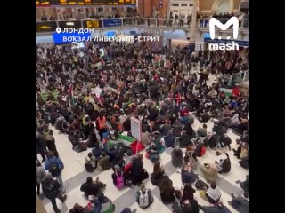 пропалестинские демонстранты заполонили ж/д вокзал Лондона и блокировали движение поездов