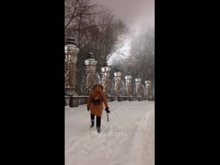 Каждую зиму Санкт-Петербург заваливает снегом, а снегоочистительных машин нет.❄️