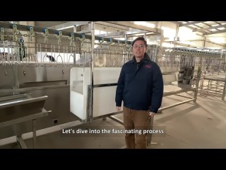 Revolutionizing Poultry Processing: The Water Stunning Machine